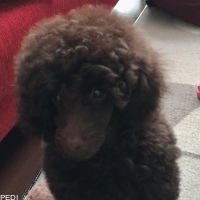 ウォーリーくん