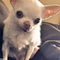 メイミーちゃん