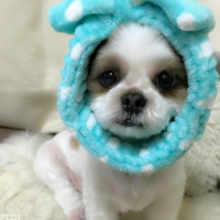 いちくん