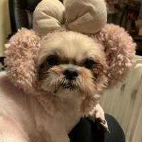 無月ちゃん