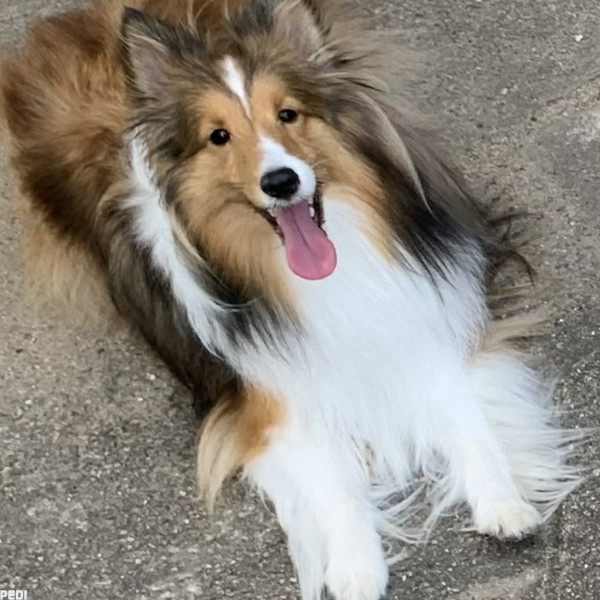 真音（まお）くん