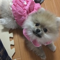 じゅりちゃん