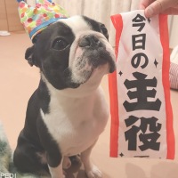 銀くん
