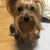 セナちゃん