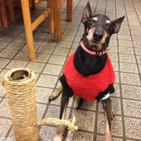 バスくん