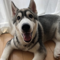 ALECくん