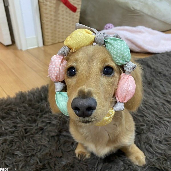 ウィンクルちゃん