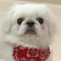 蔵之介くん