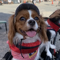 Lucyちゃん