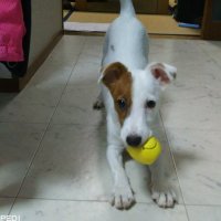 じゅりちゃん