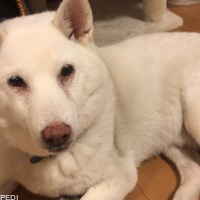 ラッキーくん