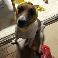 サンジくん