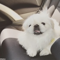 まりんくん