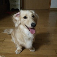 ひなたくん