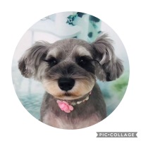 Viviちゃん