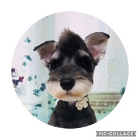 Buzzくん
