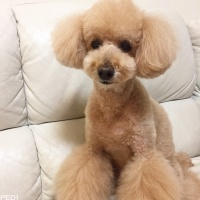 LOVEくん