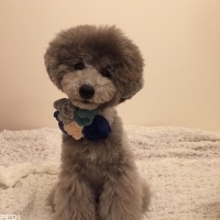 Sunnyちゃん