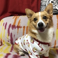 みかんちゃん