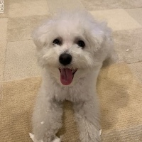 リリちゃん