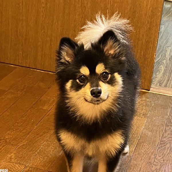 からちゃん