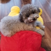モコちゃん
