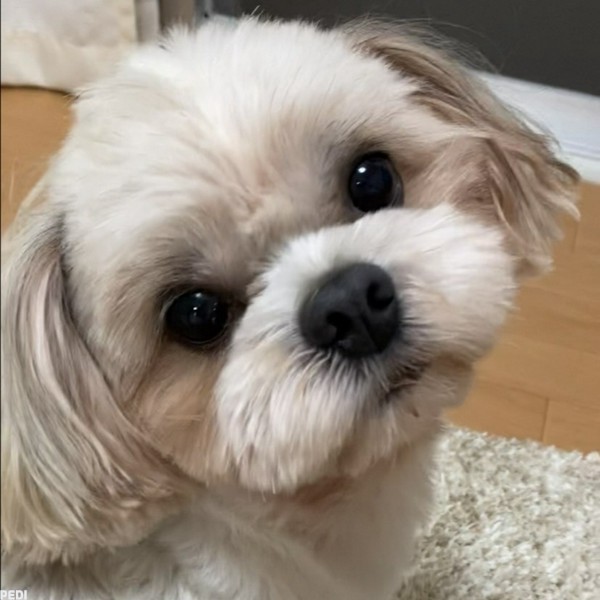 もんじろうくん