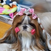 サリーちゃん