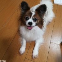 りりぃちゃん
