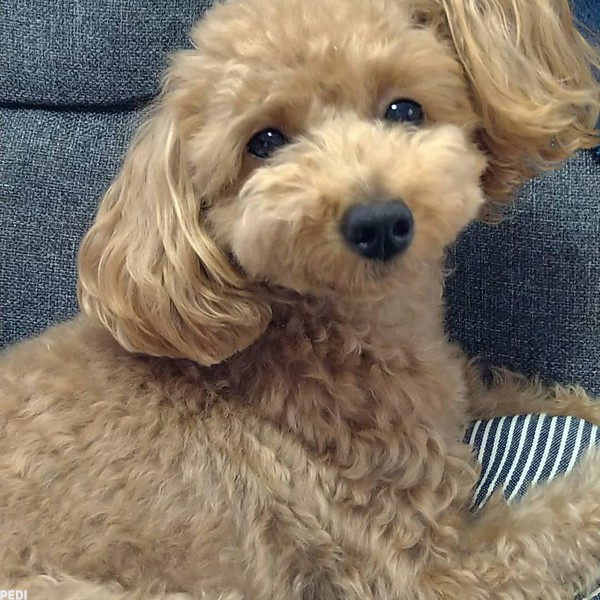 令菜ちゃん