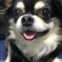 めろくん