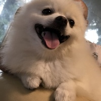 ユートくん