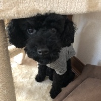 黒豆ちゃん