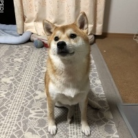 まめちゃん