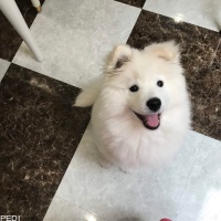 ソフィアちゃん
