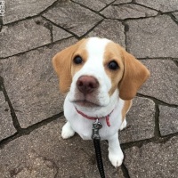 香鈴ちゃん