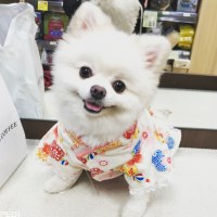 りりちゃん