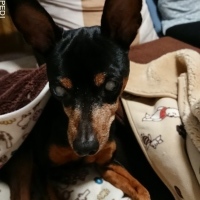 とらいくん