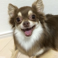 セバスチャンくん