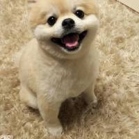 じんくん