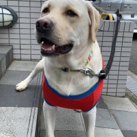 レオくん