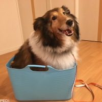じゃっくくん