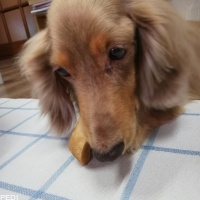 アロンくん