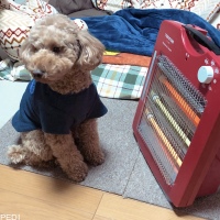 エリーくん