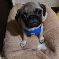 竹くん