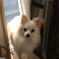 こたくん
