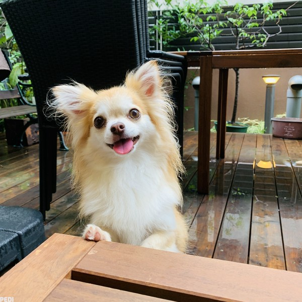 諭吉くん