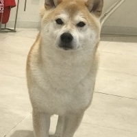 たくとくん