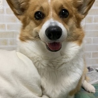 るるちゃん