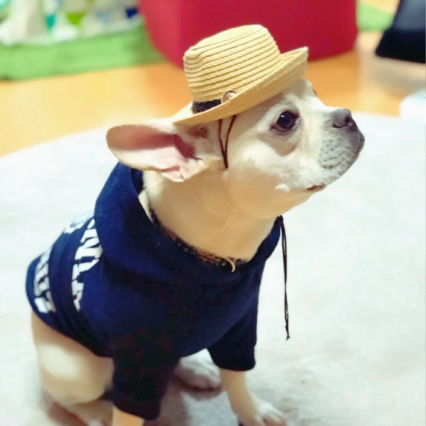 福くん